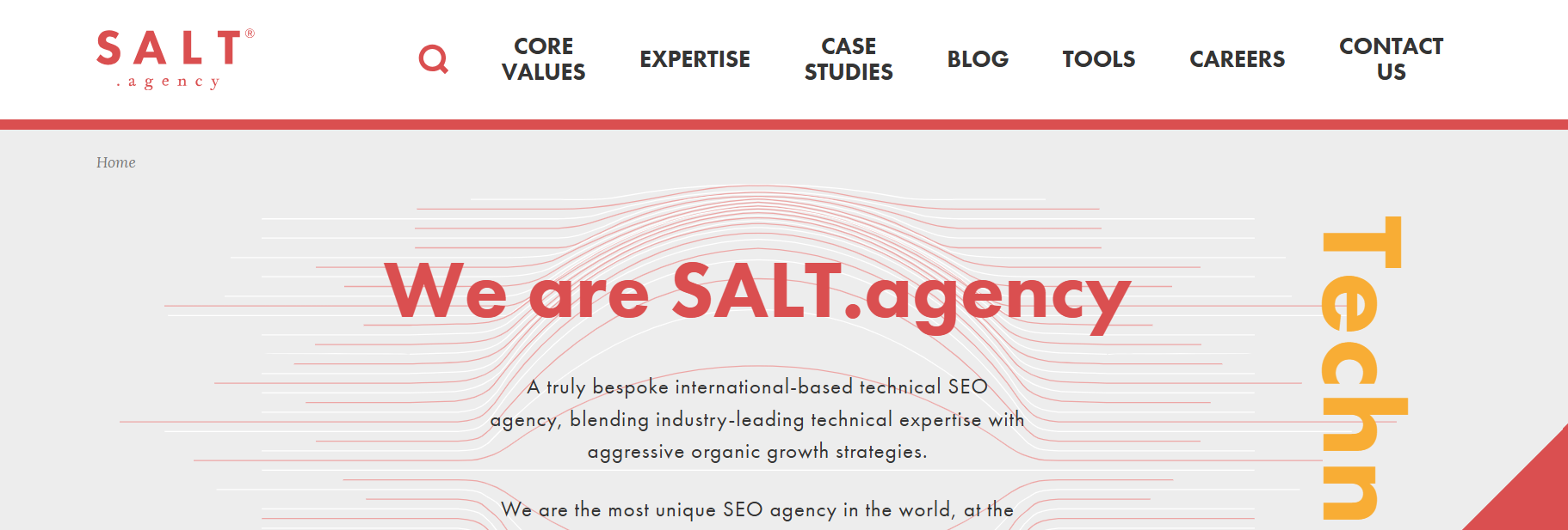 SALT.agency's Webpage