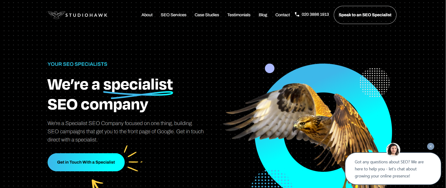 StudioHawk's Webpage