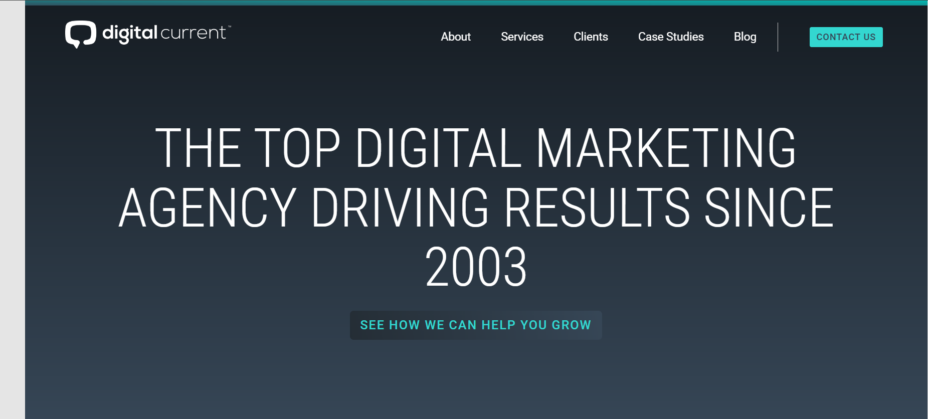 Digital Current's Webpage